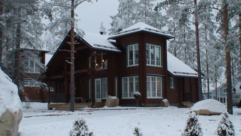 Kiukaisten Huvilaveistämö kohde 8