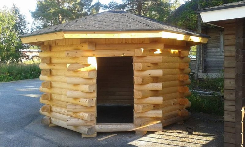 Kiukaisten Huvilaveistämö kohde 16